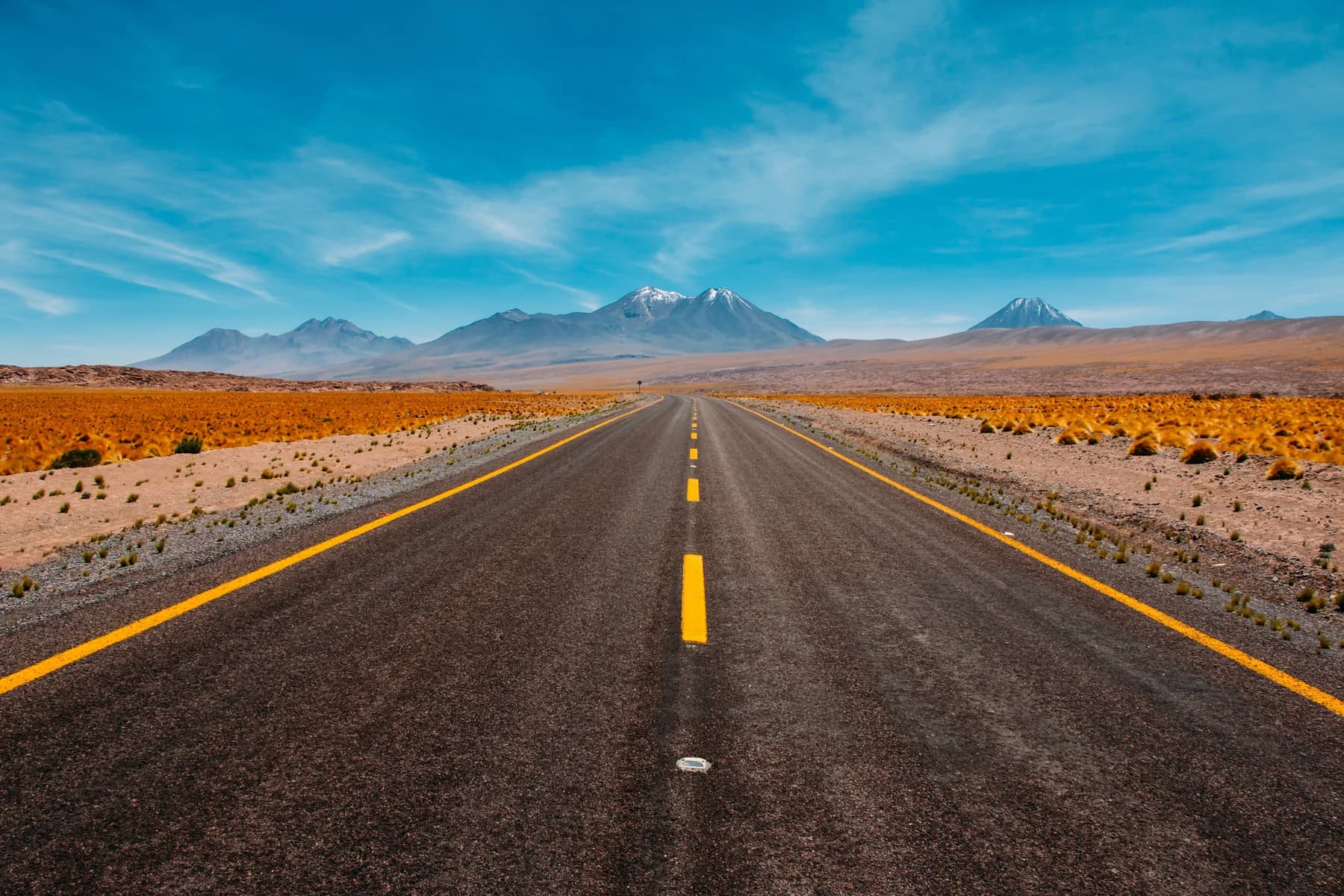 Finished dark asphalt road crossing an open landscape
