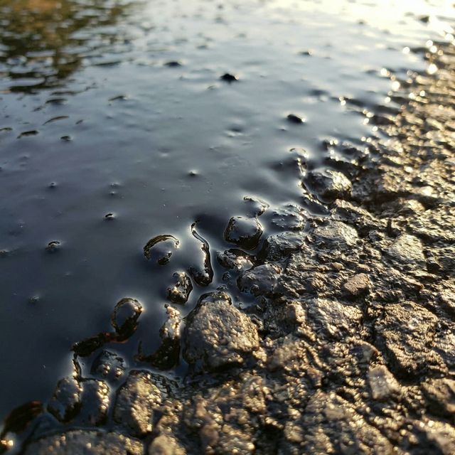 Macro texture shot of wet sealcoat filling asphalt voids